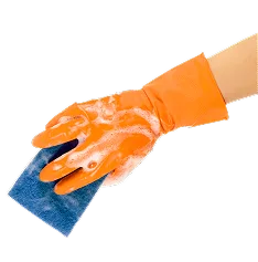 Where Cleanliness meets Care Services - 星空娱乐